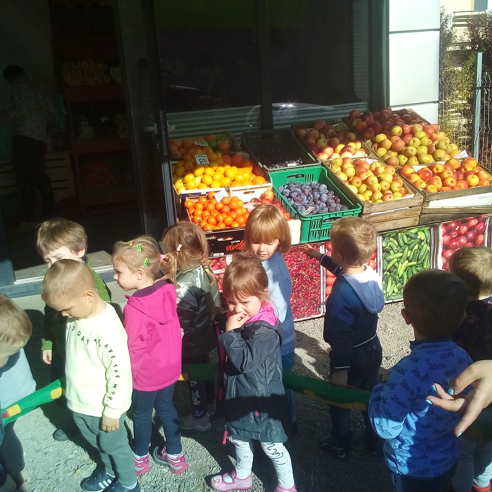 Wizyta w warzywniaku w Michałowicach-Misie 18