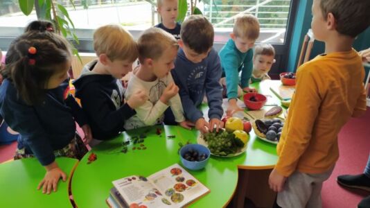 Bajeczny Poranek w Bibliotece - Wrzesień - Skrzaty (4)