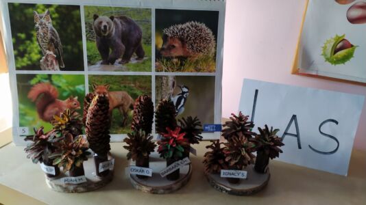 Las - Jesień w lesie (2)