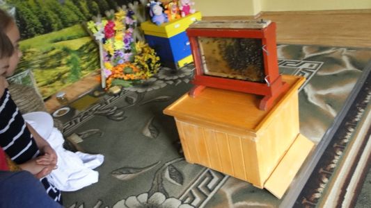 Warsztaty pszczelarskie 17