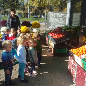 Wizyta w warzywniaku w Michałowicach-Misie 16